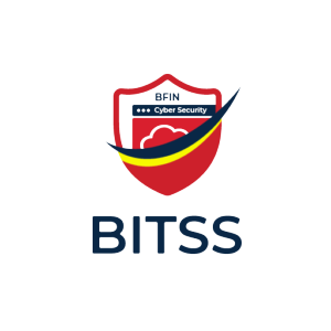 Bitss protect your IT data